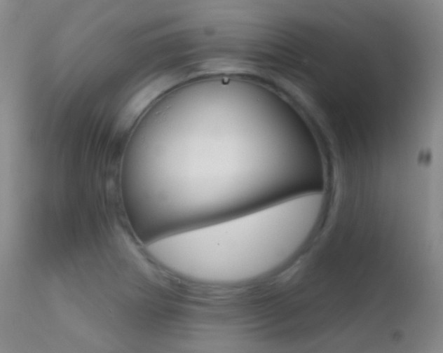 X0000113201273200909100914