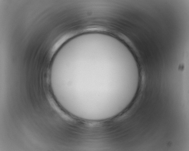 X0000113201274200909100914