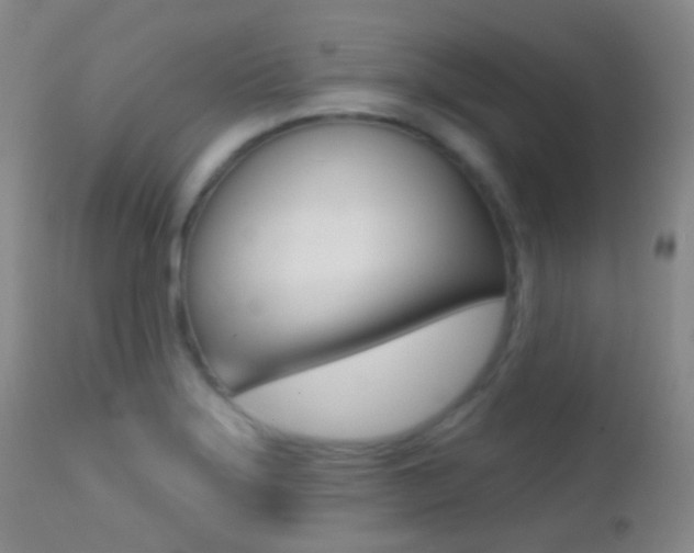 X0000113201275200909100914