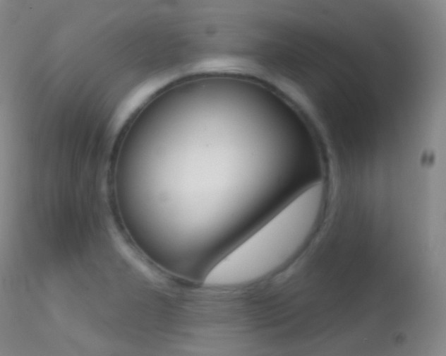 X0000113201277200909100913