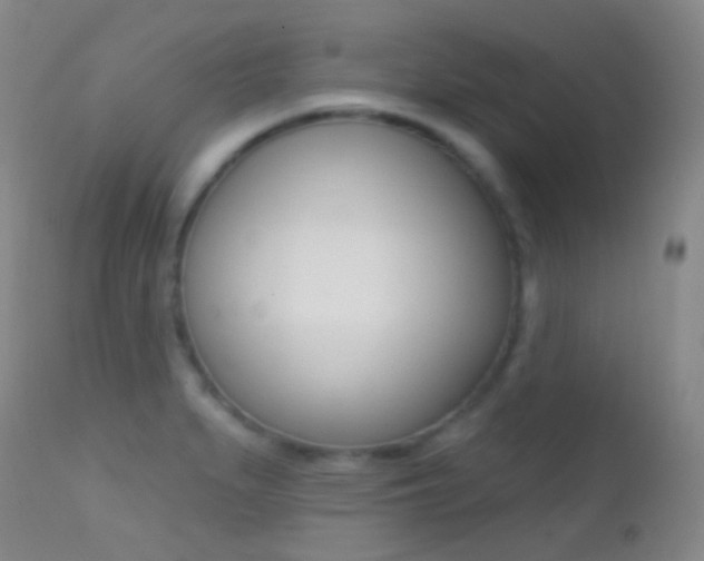X0000113201279200909100913