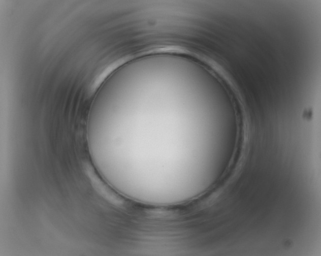 X0000113201281200909100913