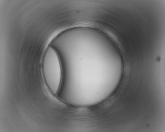 X0000113201283200909100913