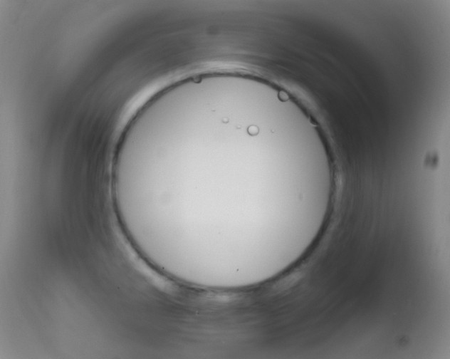 X0000113201286200909100913