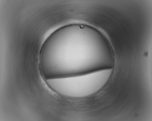X0000113201287200909100913