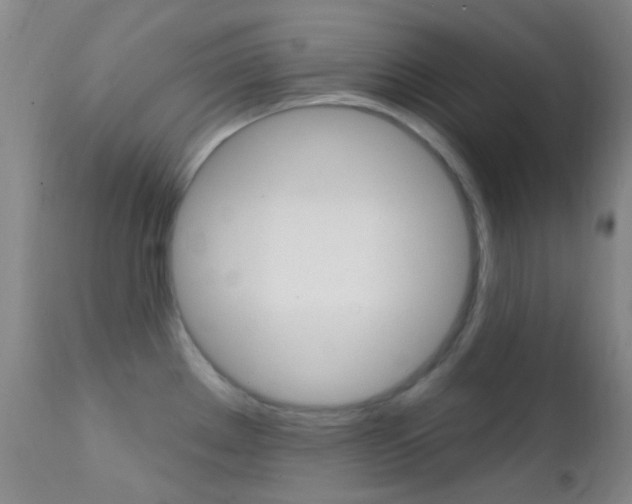 X0000113201289200909100913