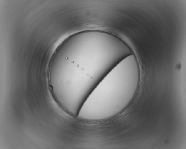 X0000113201291200909100913