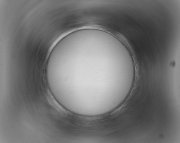 X0000113201292200909100913