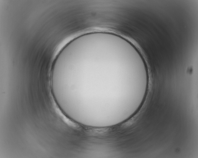 X0000113201294200909100913