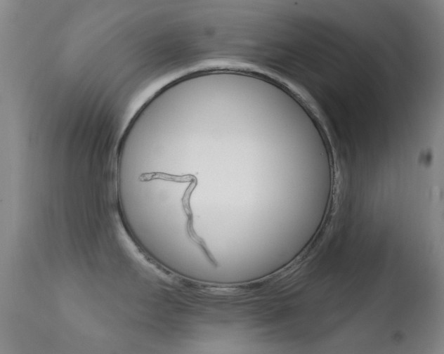 X0000113201295200909100913