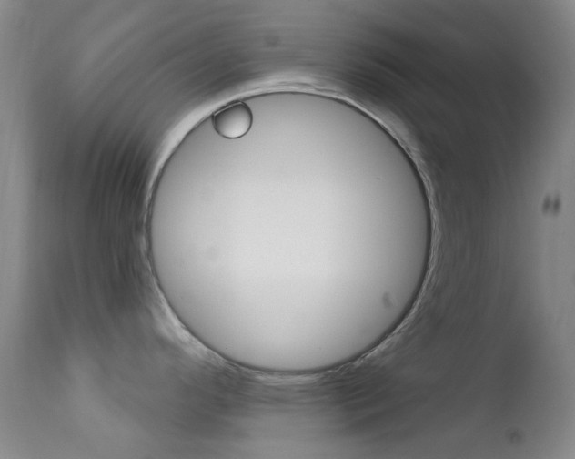 X0000113201296200909100913