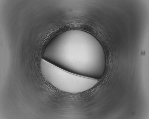 X0000113201297200909100912