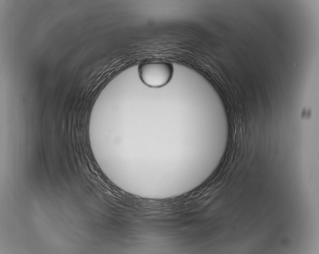 X0000113201298200909100912