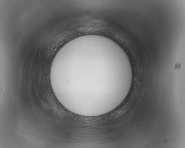 X0000113201300200909100912