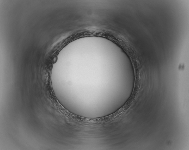 X0000113201302200909100912
