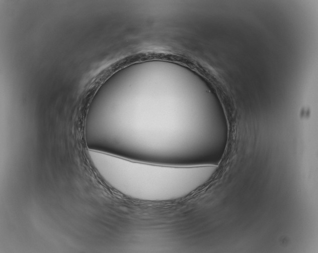 X0000113201303200909100912