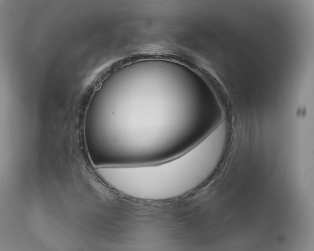 X0000113201304200909100913