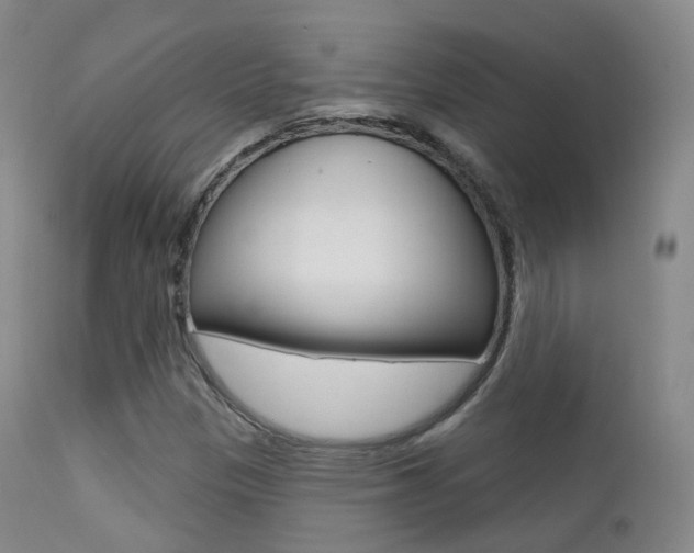 X0000113201305200909100913
