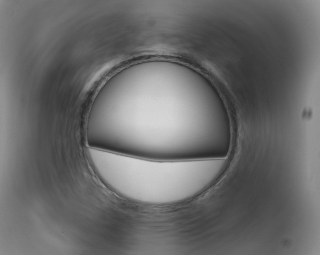 X0000113201307200909100913