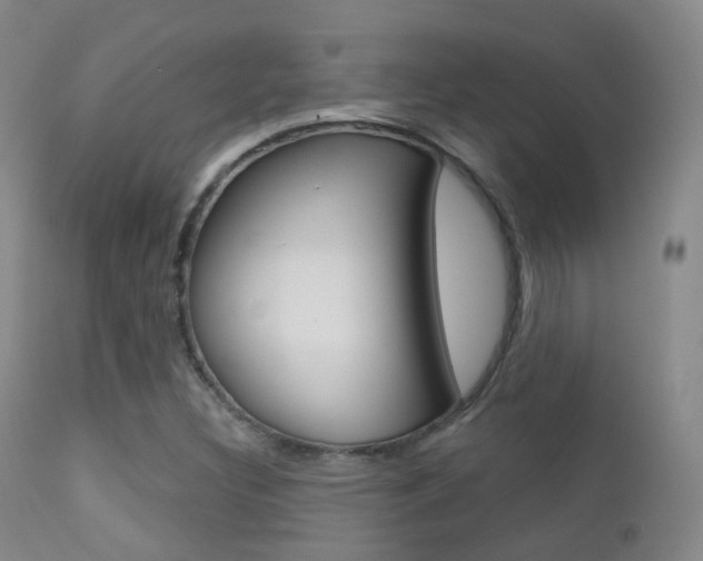 X0000113201308200909100913