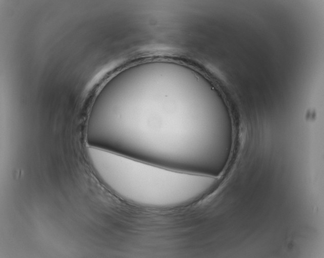 X0000113201309200909100913