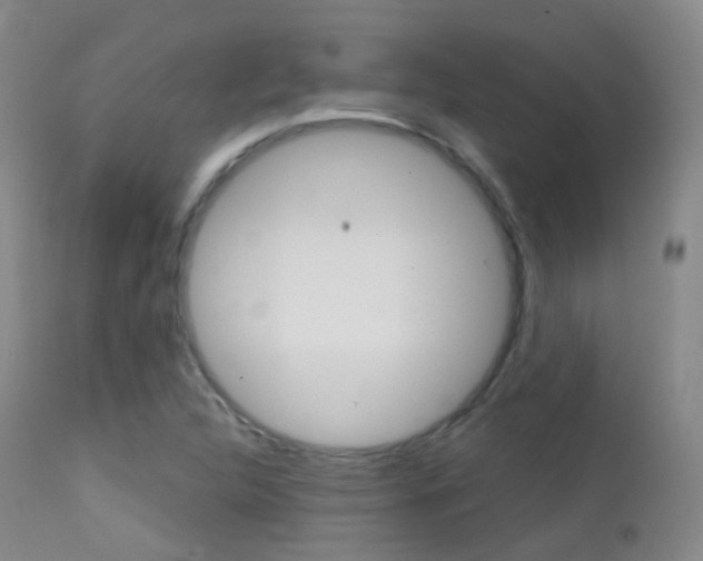X0000113201312200909100913