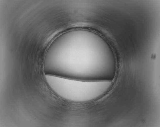 X0000113201313200909100913