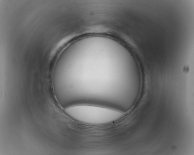 X0000113201315200909100913