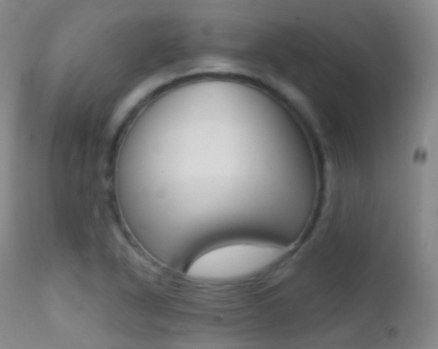 X0000113201318200909100913