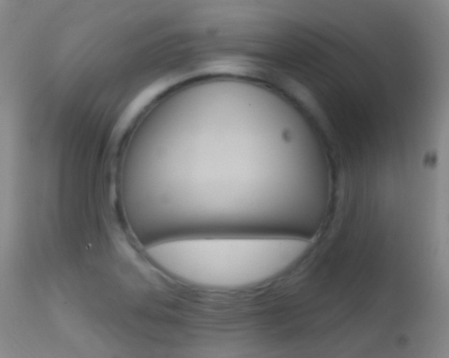 X0000113201323200909100913