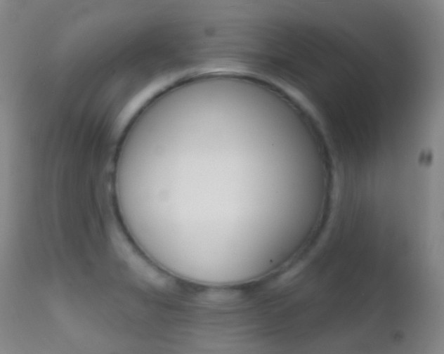 X0000113201325200909100913