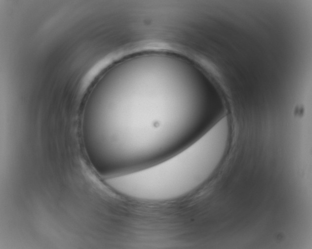 X0000113201326200909100913