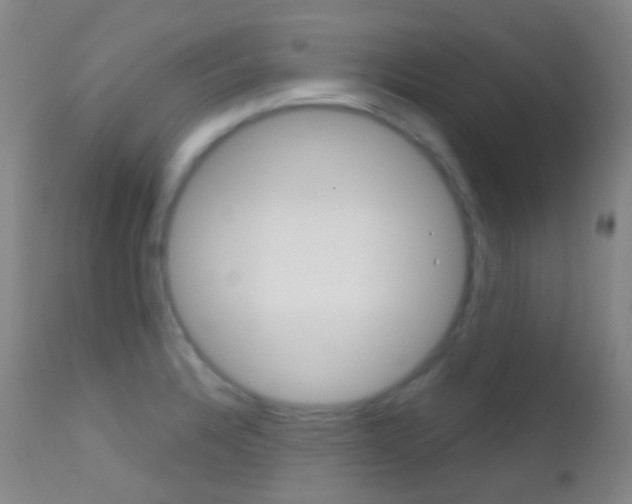 X0000113201328200909100913