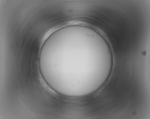 X0000113201330200909100913