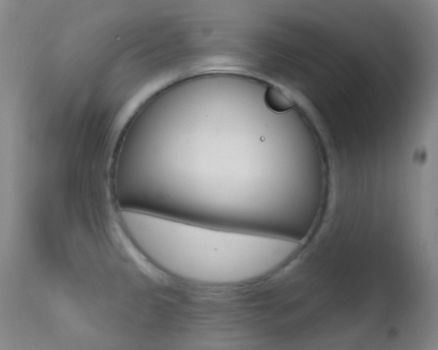 X0000113201333200909100913