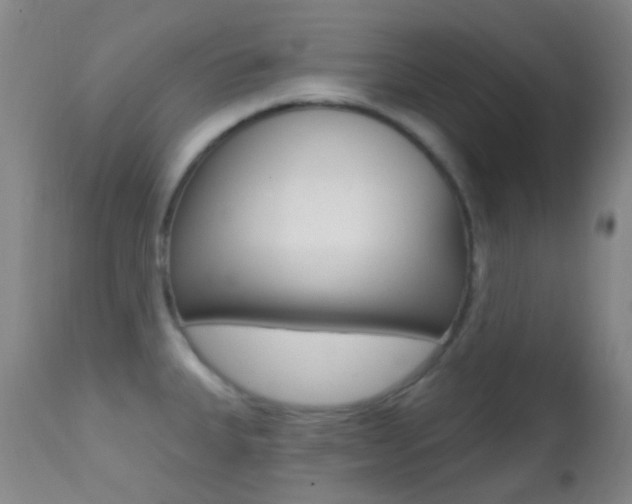X0000113201335200909100913