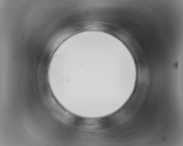 X0000113201338200909100913