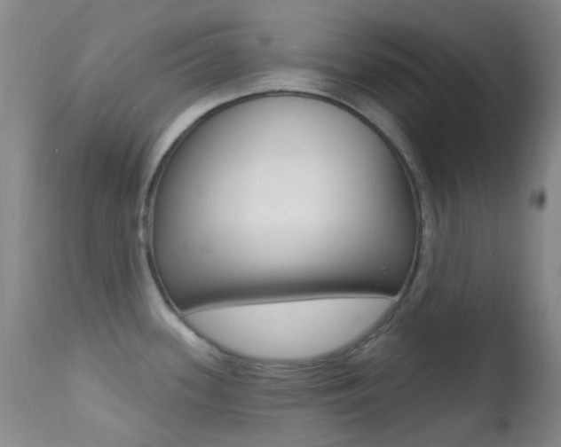 X0000113201339200909100913