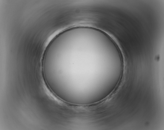 X0000113201341200909100913