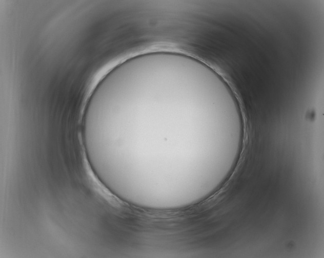 X0000113201342200909100913