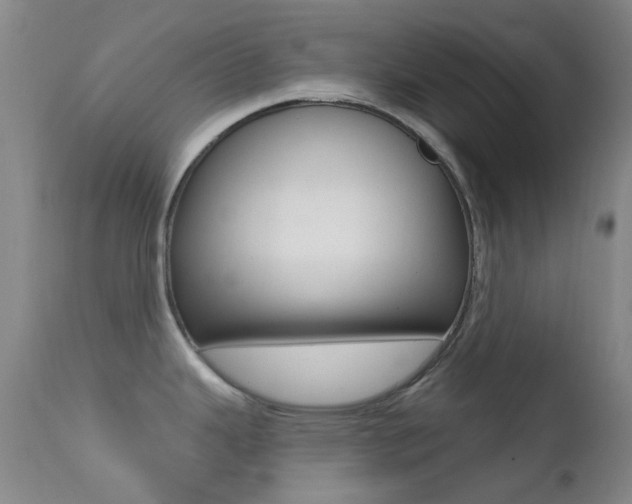 X0000113201343200909100913