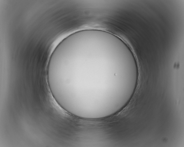 X0000113201344200909100913