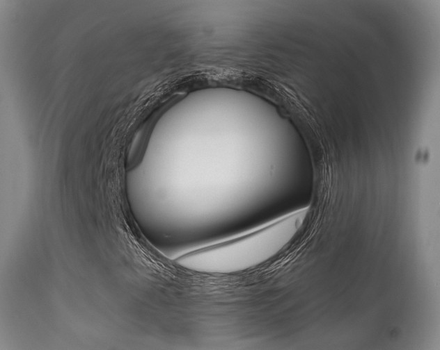 X0000113201345200909100912