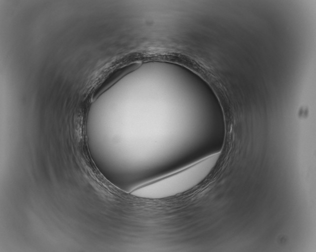 X0000113201348200909100912