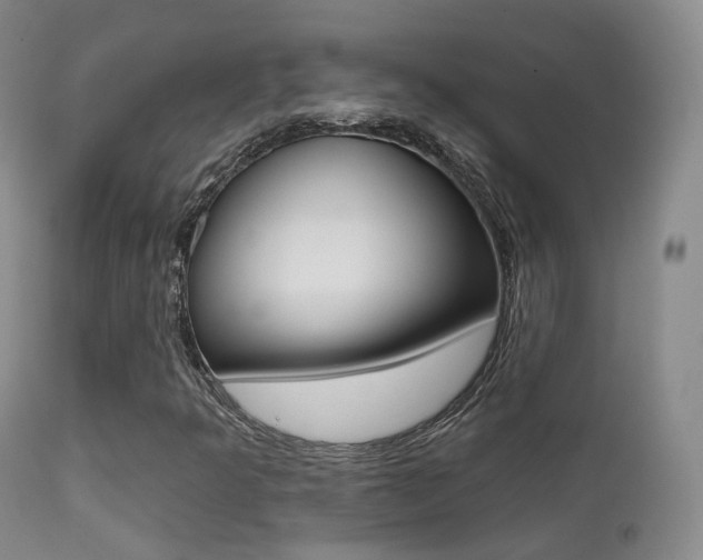 X0000113201349200909100912