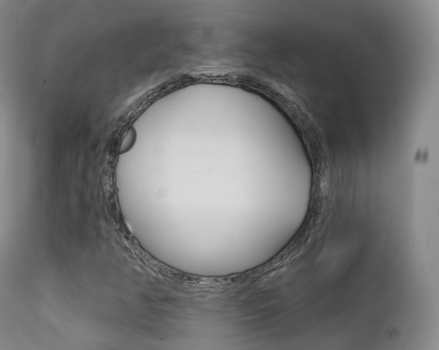 X0000113201350200909100912