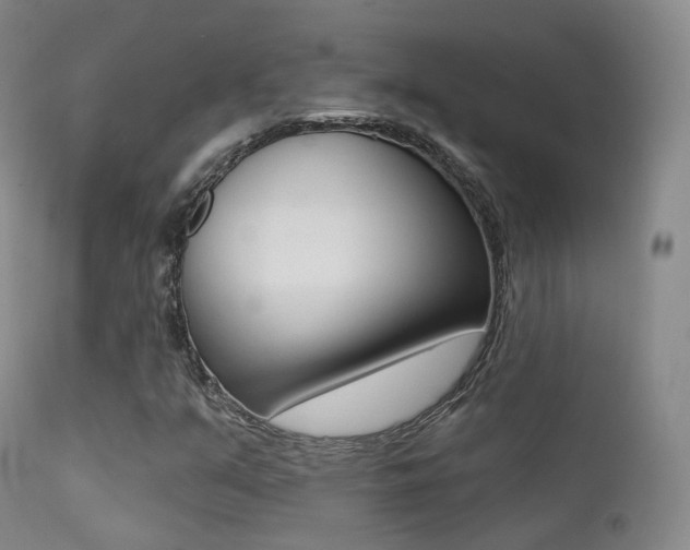 X0000113201351200909100912