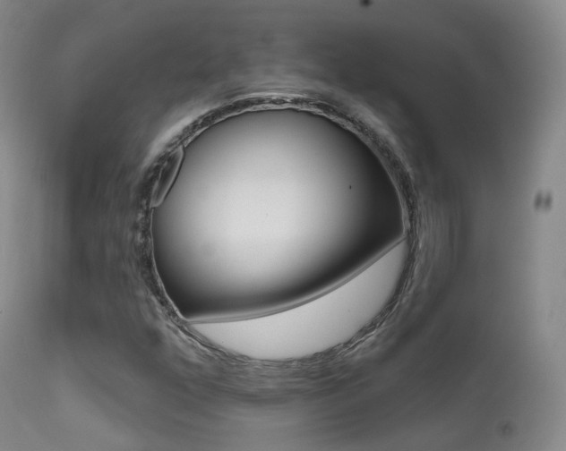 X0000113201352200909100912