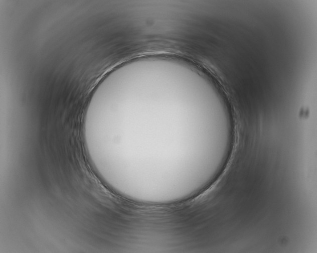 X0000113201353200909100912