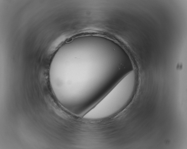 X0000113201355200909100912